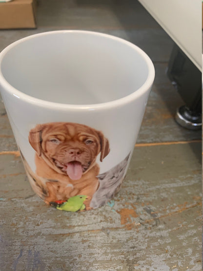 Custom Photo Mugs