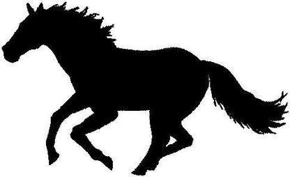 horse embroidery Design. Machine Embroidery Design. horse Pattern. Instant Download